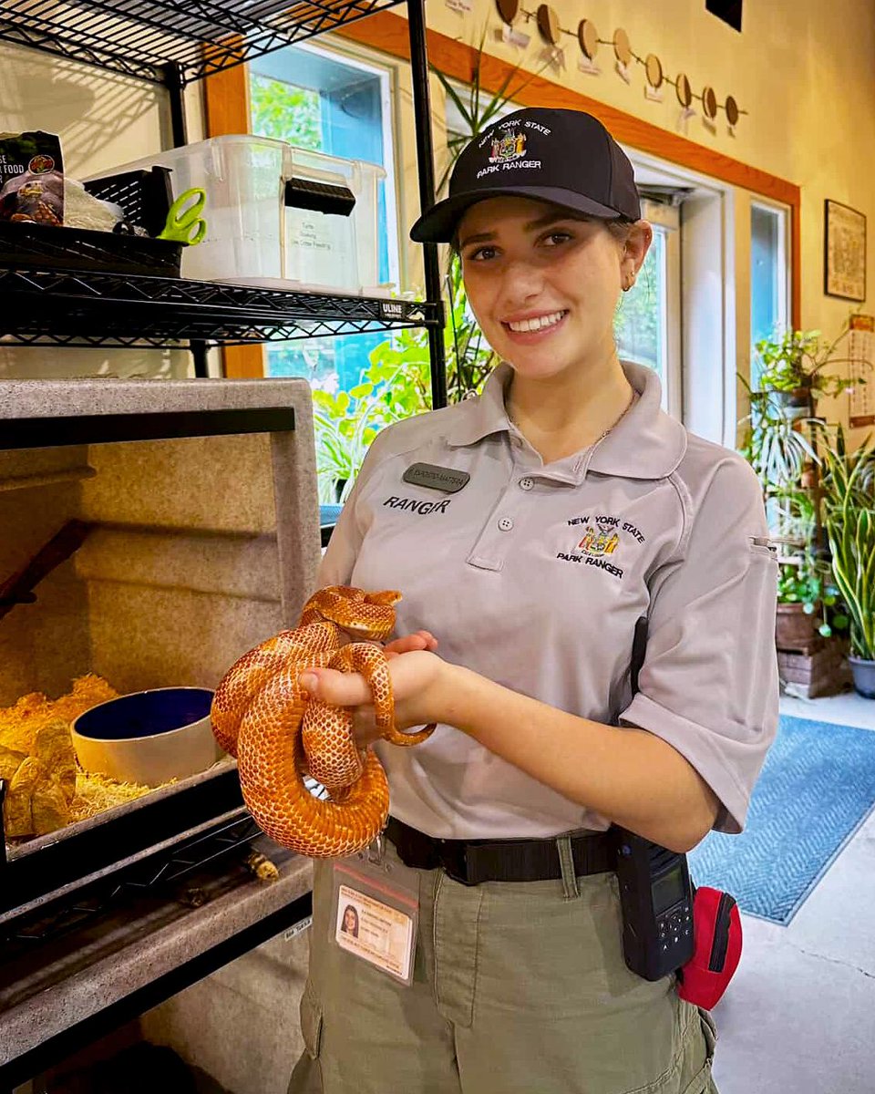 #SUNYDelhi student on a #SummerInternship! Environmental Studies major Barbara Esposito-Mattera is interning as a #NYSParkRanger at the Clay Pit Ponds State Park Preserve on Staten Island.🌳🦉🌿🦅
