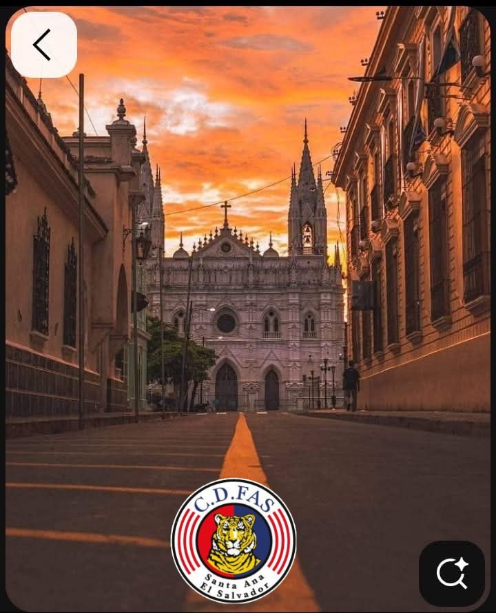 Roxana ❤️💙🐯 tweet media