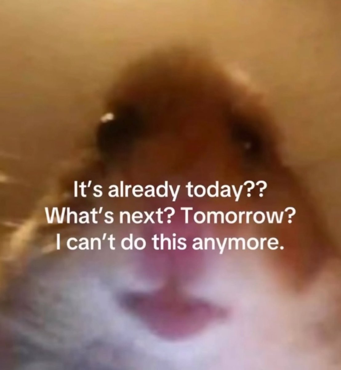 star 💫 (@stxrinsky) on Twitter photo 