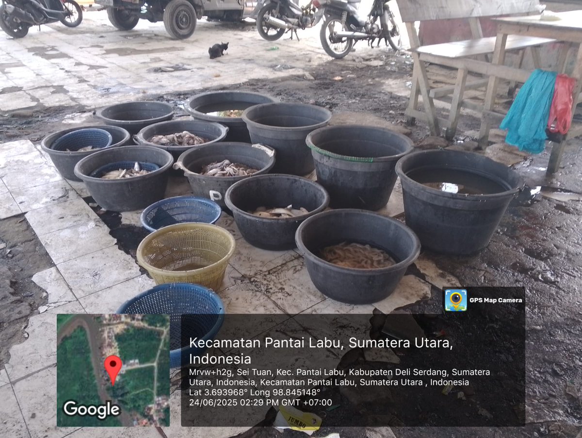 ELuhkan's tweet photo. Selasa(24/06/2025), EkoSantoso-LuhkanDeliSerdang, KUB Nelayan Mandiri, TPI BaganSerdang#produksi tangkap ;  Kembung 4kg, Ud Swallow 4kg, Ud Putih 3kg, Rajungan 1kg, Lidah 3kg ; harga lelang,
#GiatLuhkanSatmingkalMedan#LuhLapor
#KabDeliSerdang
@bppsdm_bp3Medan
@pusluhkp
@bppsdm_kp https://t.co/8KW6N4PARd
