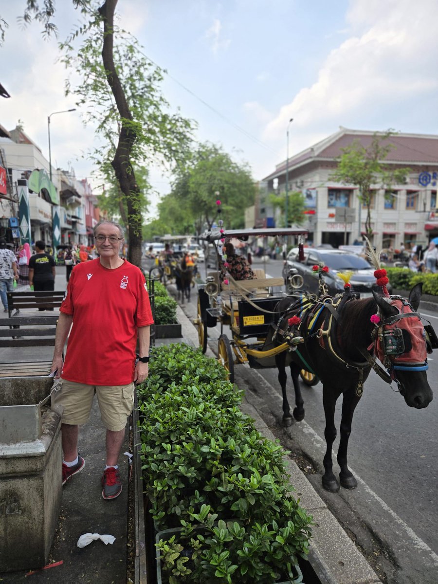 trevormcelroy's tweet photo. Greetings from Yogyakarta, Indonesia
The city where my wife comes from
@NFFC
#NFFCallover https://t.co/4I5Hu66fhP