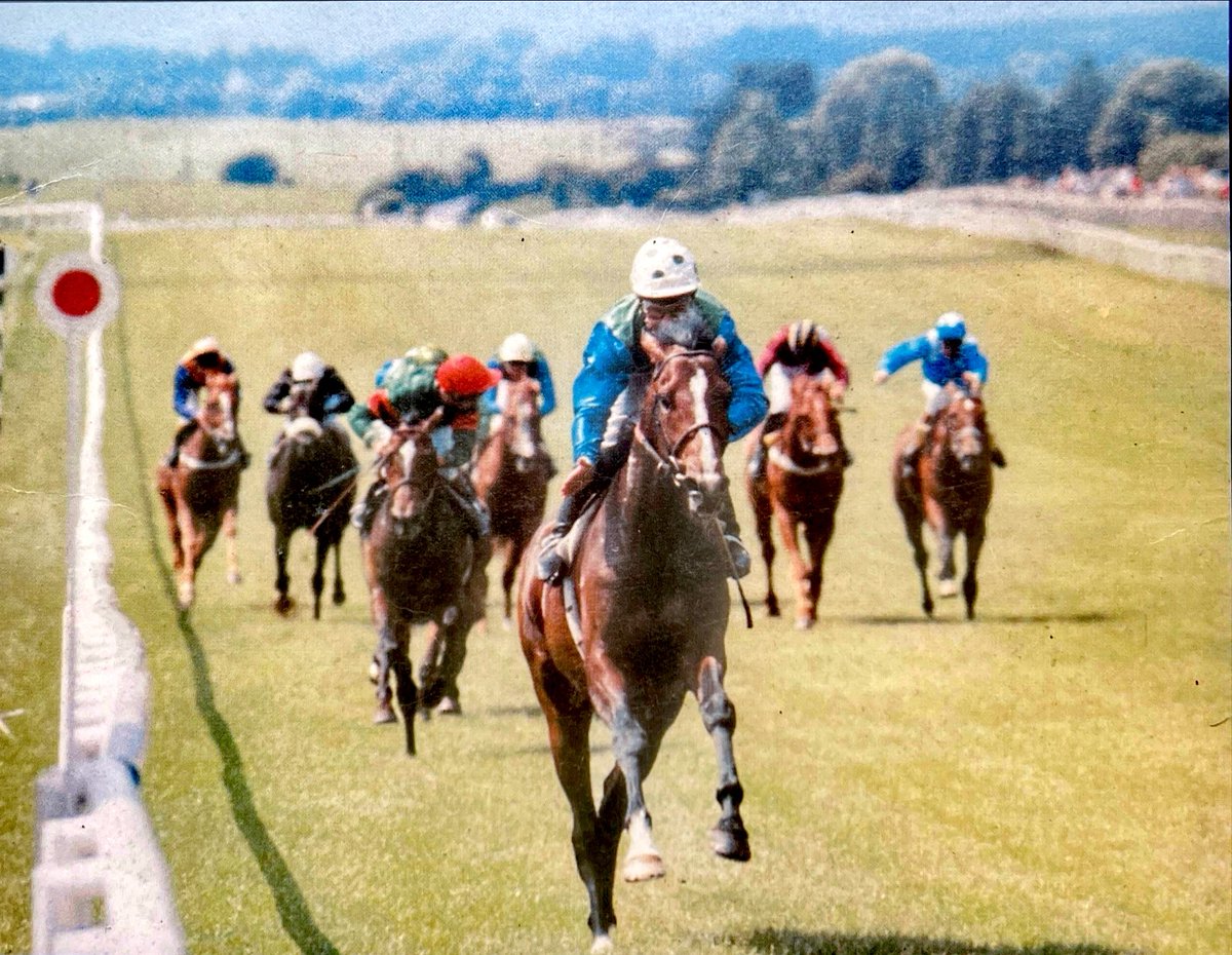 After his defeat by Golden Fleece in the Nijinsky Stakes, Assert went from strength to strength completing the 1982 French Derby/Irish Derby double, the latter in tremendous style by 8 lengths (Timeform had the winning distance as '10'). Sadly, the two colts never met again.
