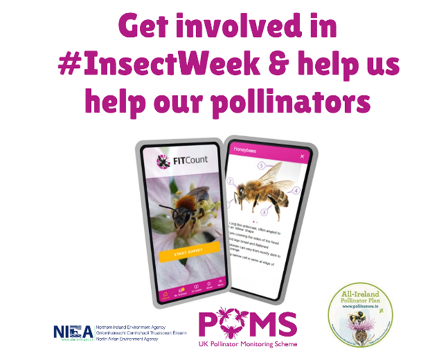 This #InsectWeek why not take 10 mins &amp; do a FIT (Flower Insect Timed) count in your garden or local park to help us understand how our pollinator populations are changing.

Find out more🔗ukpoms.org.uk

#StandTallForTheSmall
#LittleThingsThatRunTheWorld
#citizenscience