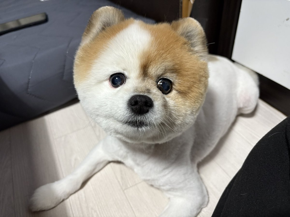 Yr4aiz's tweet photo. 생존신고합니다 기여미어르신등장 https://t.co/XEbyQtyuMn