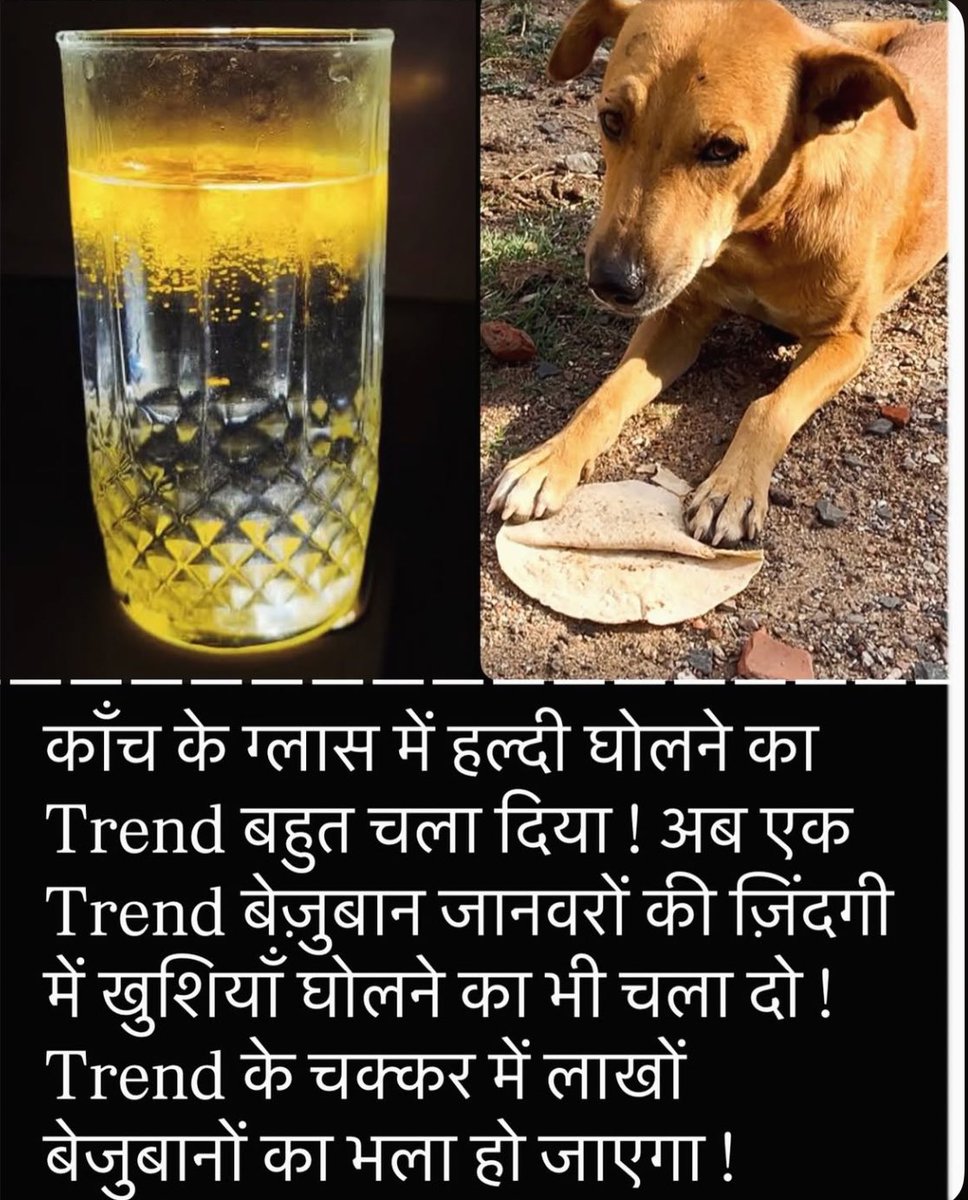 Priyanka Tiwari (@sarpanch_rajpur) on Twitter photo рдЗрд╕реЗ рдЬрд╝реНрдпрд╛рджрд╛ рд╕реЗ рдЬрд╝реНрдпрд╛рджрд╛ рд╢реЗрдпрд░ рдХрд░ рджреЛ ЁЯЩПЁЯП╗
рдпреЗ рдирдпрд╛ Trend рдЪрд▓рд╛ рджреЛ ЁЯЩПЁЯП╗
рдЖрдкрдХреА рдмрдбрд╝реА рдореЗрд╣рд░рдмрд╛рдиреА рд╣реЛрдЧреА ЁЯЩПЁЯП╗
#animal #AnimalAbuse #AnimalCruelty #AnimalFarmFoundation #animallove #affection #love #ceasefire <a href="/Dept_of_AHD/">Dept of Animal Husbandry & Dairying, Min of FAH&D</a> <a href="/MercyForAnimals/">Mercy For Animals</a> <a href="/WOAH/">World Organisation for Animal Health</a> <a href="/PetaIndia/">PETA India</a> <a href="/peta/">PETA</a> #AnimalCrossing рдЗрд╕реЗ рдЬрд╝реНрдпрд╛рджрд╛ рд╕реЗ рдЬрд╝реНрдпрд╛рджрд╛ рд╢реЗрдпрд░ рдХрд░ рджреЛ ЁЯЩПЁЯП╗
рдпреЗ рдирдпрд╛ Trend рдЪрд▓рд╛ рджреЛ ЁЯЩПЁЯП╗
рдЖрдкрдХреА рдмрдбрд╝реА рдореЗрд╣рд░рдмрд╛рдиреА рд╣реЛрдЧреА ЁЯЩПЁЯП╗
#animal #AnimalAbuse #AnimalCruelty #AnimalFarmFoundation #animallove #affection #love #ceasefire <a href="/Dept_of_AHD/">Dept of Animal Husbandry & Dairying, Min of FAH&D</a> <a href="/MercyForAnimals/">Mercy For Animals</a> <a href="/WOAH/">World Organisation for Animal Health</a> <a href="/PetaIndia/">PETA India</a> <a href="/peta/">PETA</a> #AnimalCrossing