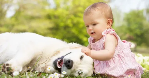 A significant interaction found between a genetic variant for atopic eczema and early-life exposure to pet dogs suggests that this exposure may protect children genetically predisposed to eczema, according to findings published in Allergy. healio.com/news/allergy-a…