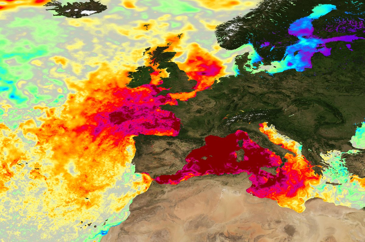 This is astonishing. 

Record breaking temperatures across the entire Mediterranean basin and very anomalous warmth to the southwest of the UK and through the Bay of Biscay. 

Anomalies are &gt;5C above where they should be at this time of year.