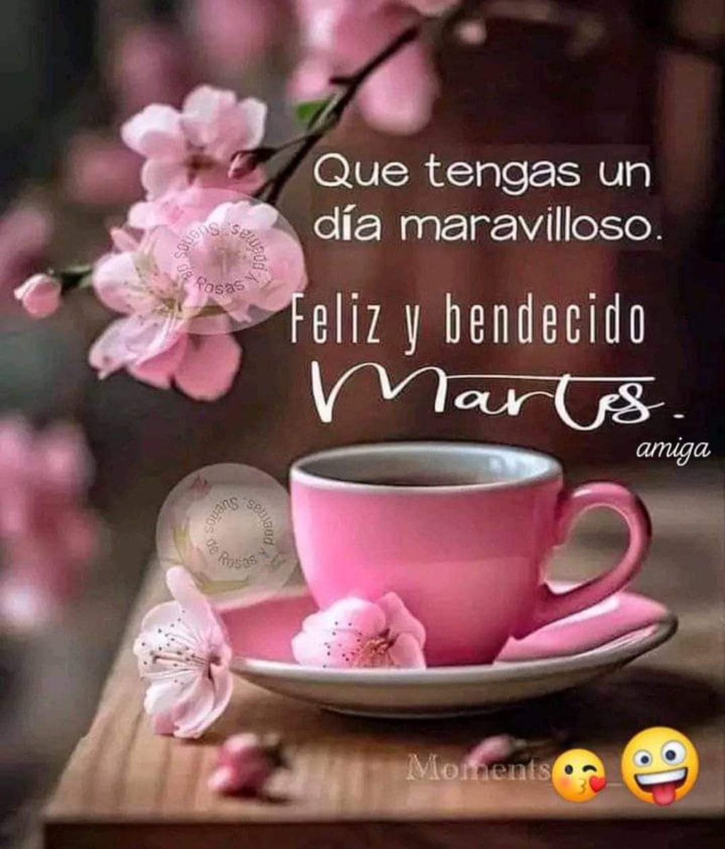 Amigos para mi siempre es un placer saludarles en este día maravilloso ᗰᗩᖇ丅ᗴS 
𝑫𝒆𝒔𝒆𝒂𝒏𝒅𝒐 𝒍𝒐 𝒎𝒆𝒋𝒐𝒓 𝒆𝒏 𝒔𝒖 𝒗𝒊𝒗𝒊𝒓
