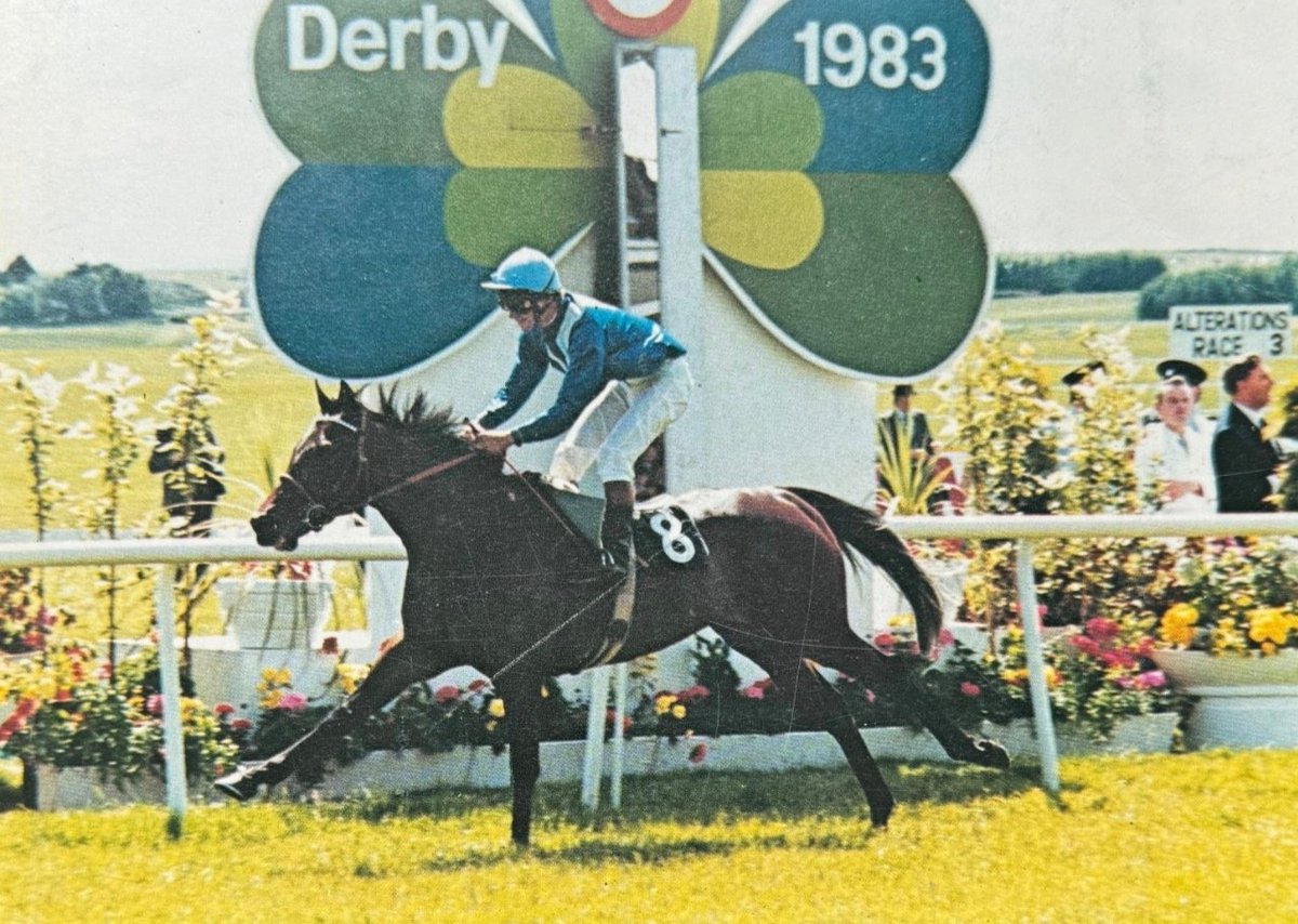 Shareef Dancer divided opinion like few horses have before or since.
A brilliant winner of the 1983 Irish Derby, he never ran again.
Jonathan Powell wrote in the Irish Field: 'If the horse won't lay it's reputation on the line, I have to suspect that his reputation is false'.
