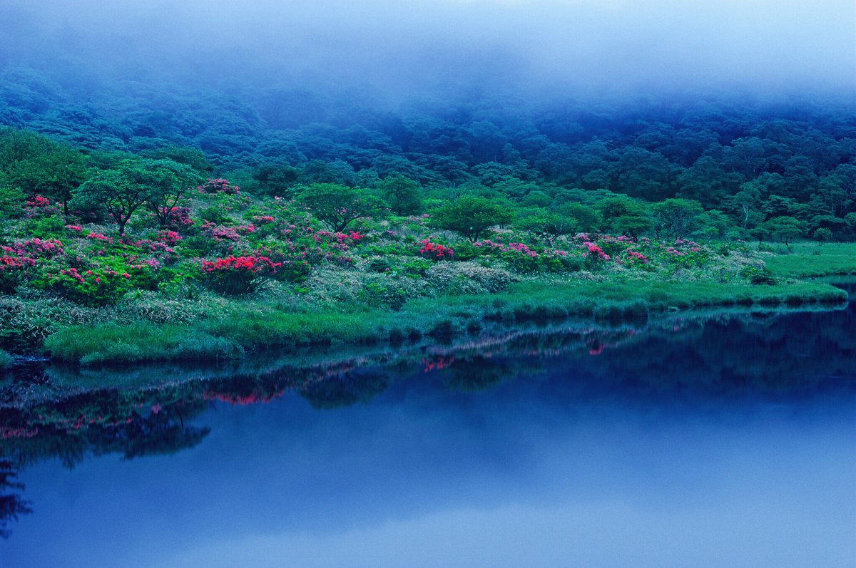 自然/绿色」おしゃれまとめの人気アイデア｜Pinterest｜JinYin | 美しい風景, 綺麗 景色,, image size:1200x797