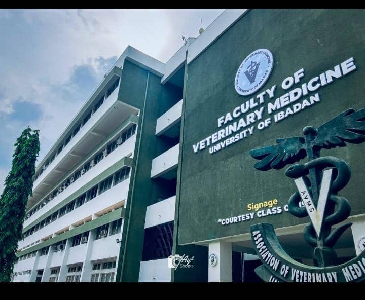 "More than bricks, more than walls" The Faculty of Veterinary Medicine, UI stands as a monument to pain, resilience, and undeniable greatness. A place where struggles birth strength and dreams take flight. 🩺🐾 #VetMedicineUI #Resilience #GreatnessInPain #VeterinaryExcellence"