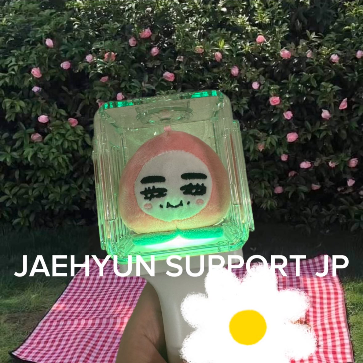 NCT JAEHYUN REAL PEACH LIVE (DIGITAL CODE) - Kpop USA