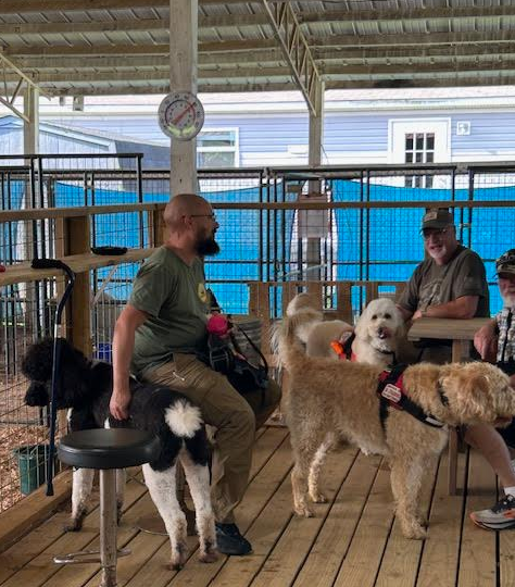 84DogsHelp's tweet image. 🧠❤️ Mental Health Awareness is crucial for our veterans! At Working Dogs For Vets, Together we can help our heroes heal! ✨ Check out our services: wix.to/NXtAA6q #MentalHealthAwareness #VeteransSupport #WorkingDogsForVets