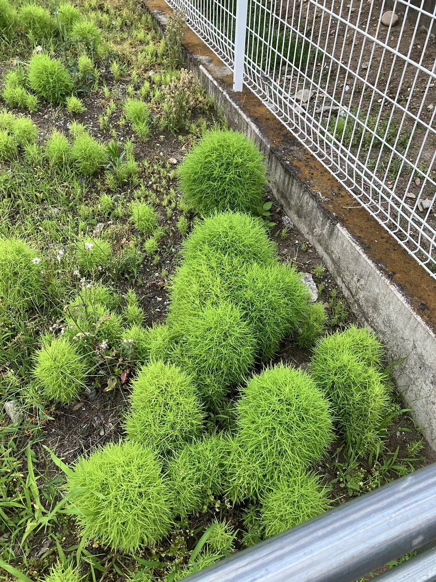 これなんや？？？？？