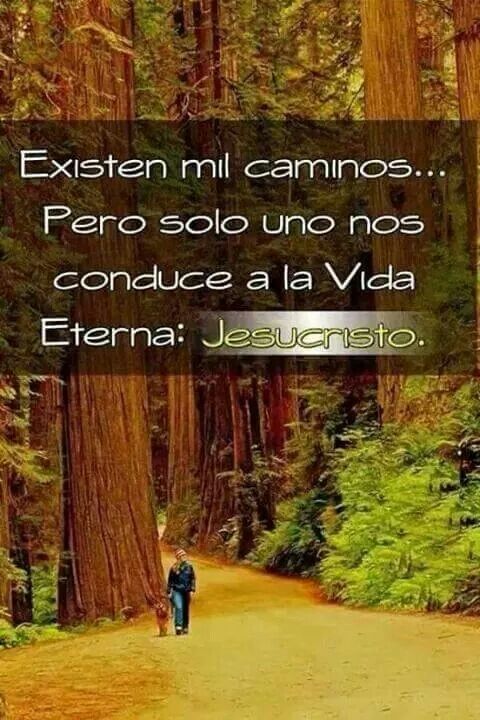 Solo en Jesucristo hay vida, verdad y esperanza eterna.