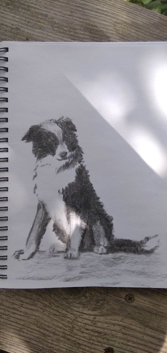 bohemianori's tweet image. I accidentally drew some puppy XD