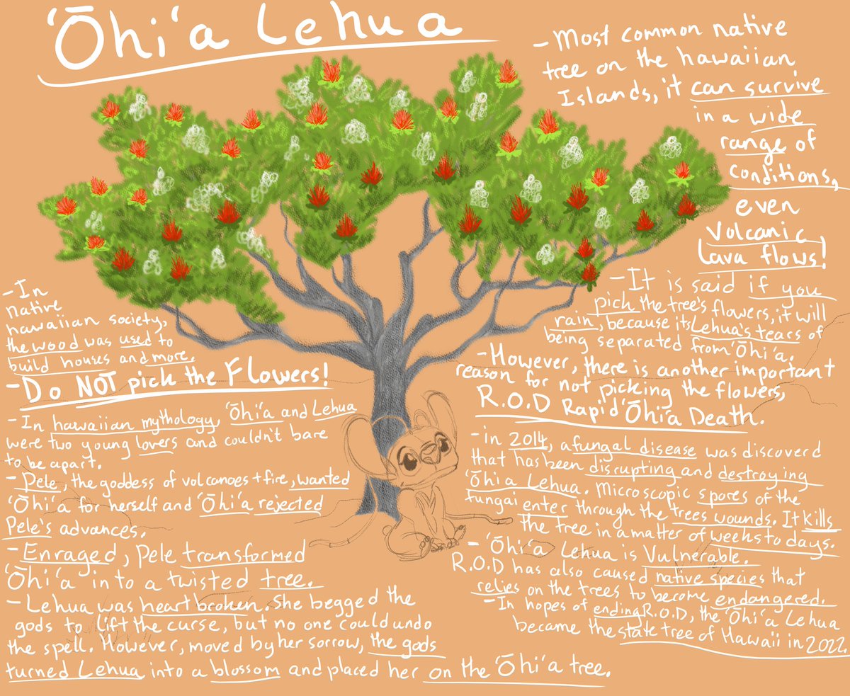 heather0never's tweet photo. Happy #Experiment624 day!

Today is the 'Ōhi'a Lehua!

#LiloAndStitch #Angel #Happy624day https://t.co/iNbIu7RXM7