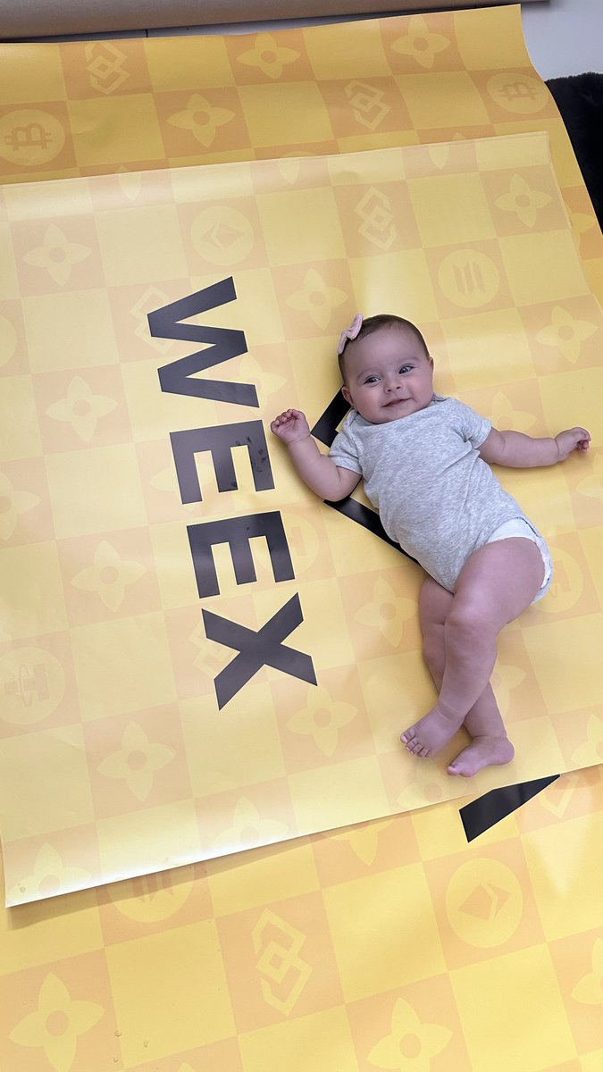 WEEX'in En Minik ve En Tatlı Takipçisiyle Tanışın! 🐣💛  

Henüz adım atmayı bilmiyor ama kriptonun geleceğinde yeri hazır gibi ☀️ 
Sizce ilk takip ettiği coin hangisi olurdu?👇