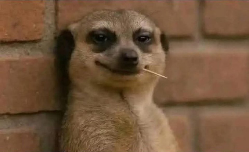 Your perfume watching you spray it knowing fully well it doesn’t have strength to follow you outside