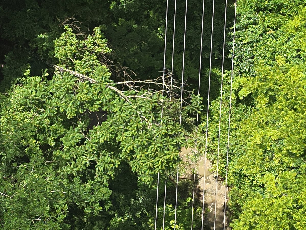 OwenElectric's tweet image. No boat? No problem. No line of sight? We&apos;ve got the drone for that.

Whether it’s flying over water or finding a downed tree in a hard-to-reach spot, we’re using drone tech to tackle tough jobs faster and safer.

#DronesAtWork #BehindTheLines