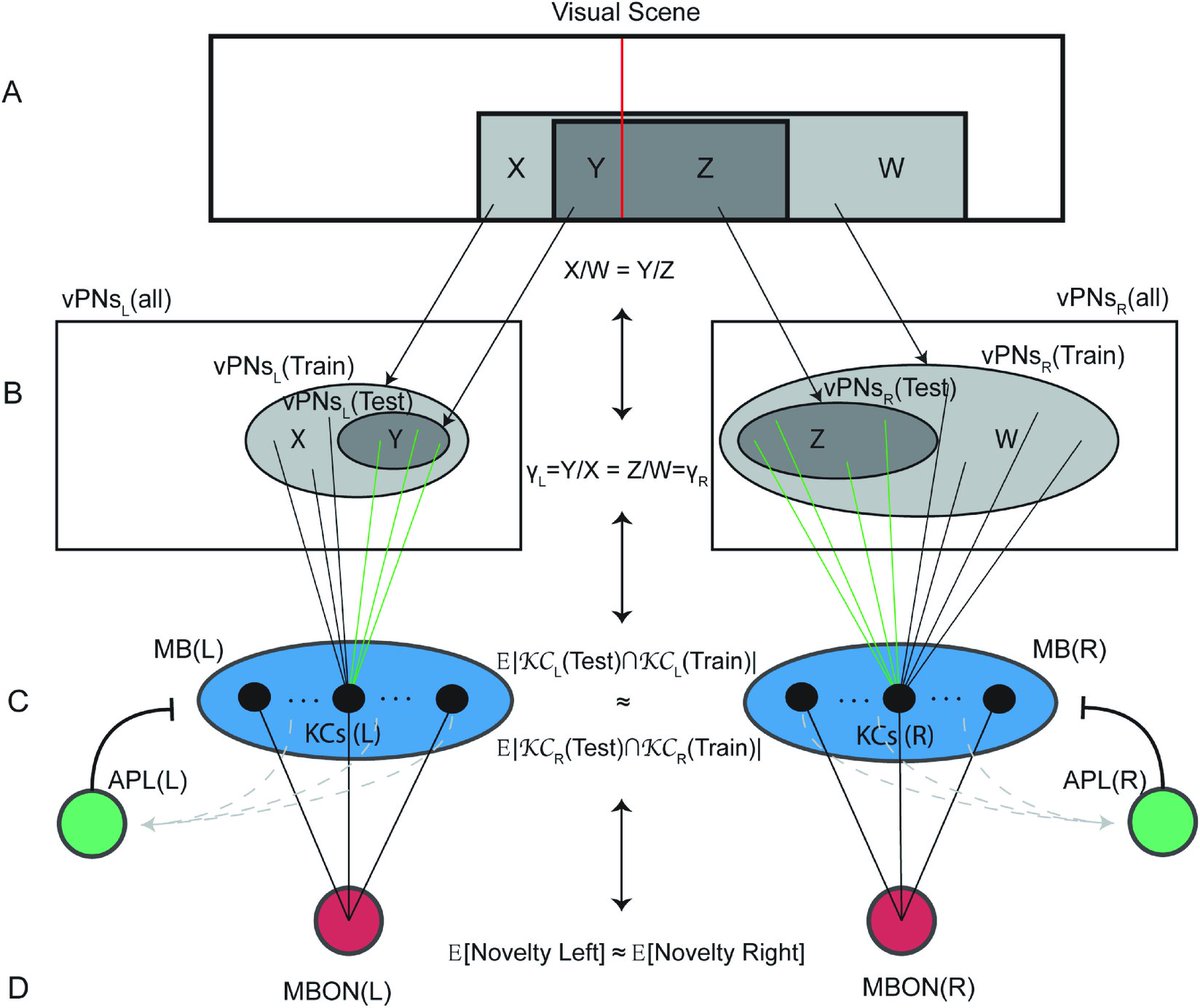 Hiro Namiki tweet media