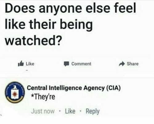 Offen5iveMemes's tweet photo. https://t.co/8GDAaeotQJ