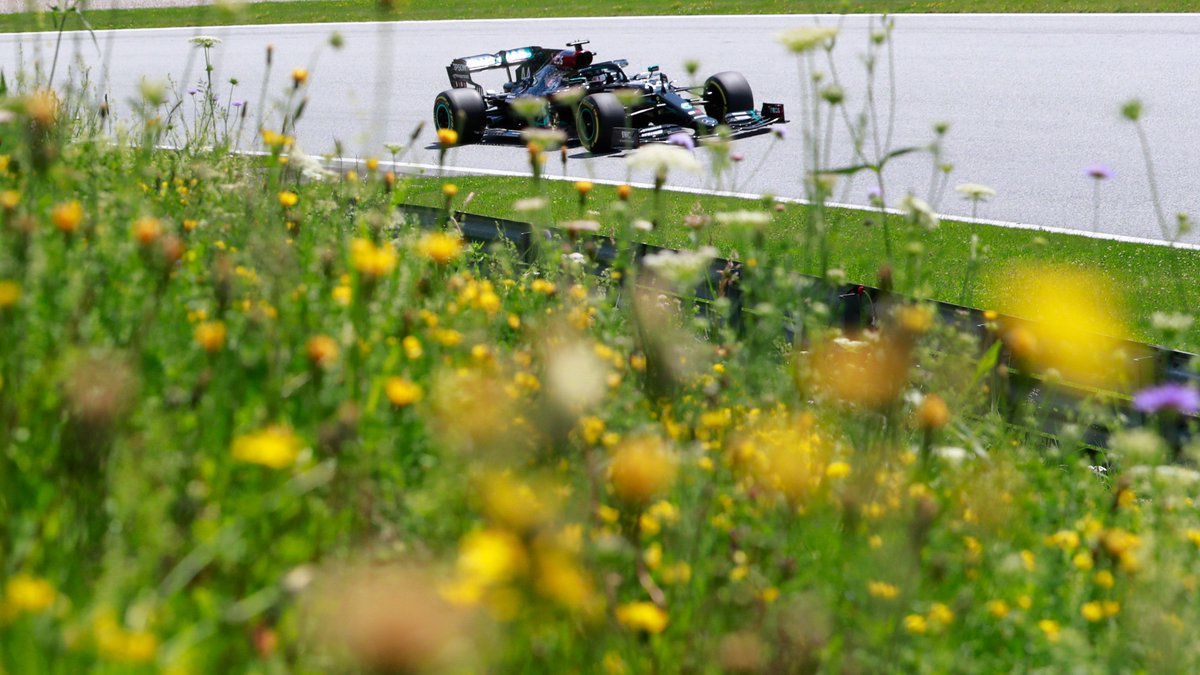 F1's tweet photo. Floral foregrounds in the Styrian hills 🌼🏞️

#F1 #AustrianGP https://t.co/l0SPD0WvWp