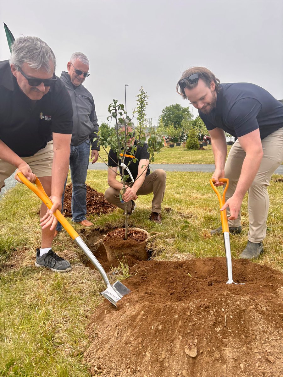 gnose709's tweet photo. It was great helping plant the ceremonial fruit trees for our new edible garden right in Mundy Pond by the new H.G.R. Mews Community Centre!

A big thank you to @TreeCanada for supporting this project and to our own Keith Bessey for all the hard work to make this happen! 🍎 🌳 🍐 https://t.co/97Uc1jAMDa