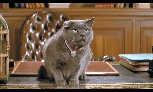 🎬 Une scène, un film culte :

▶️ Si vous l'avez, laissez un indice permettant de le reconnaître sans préciser le titre du film ! 😉