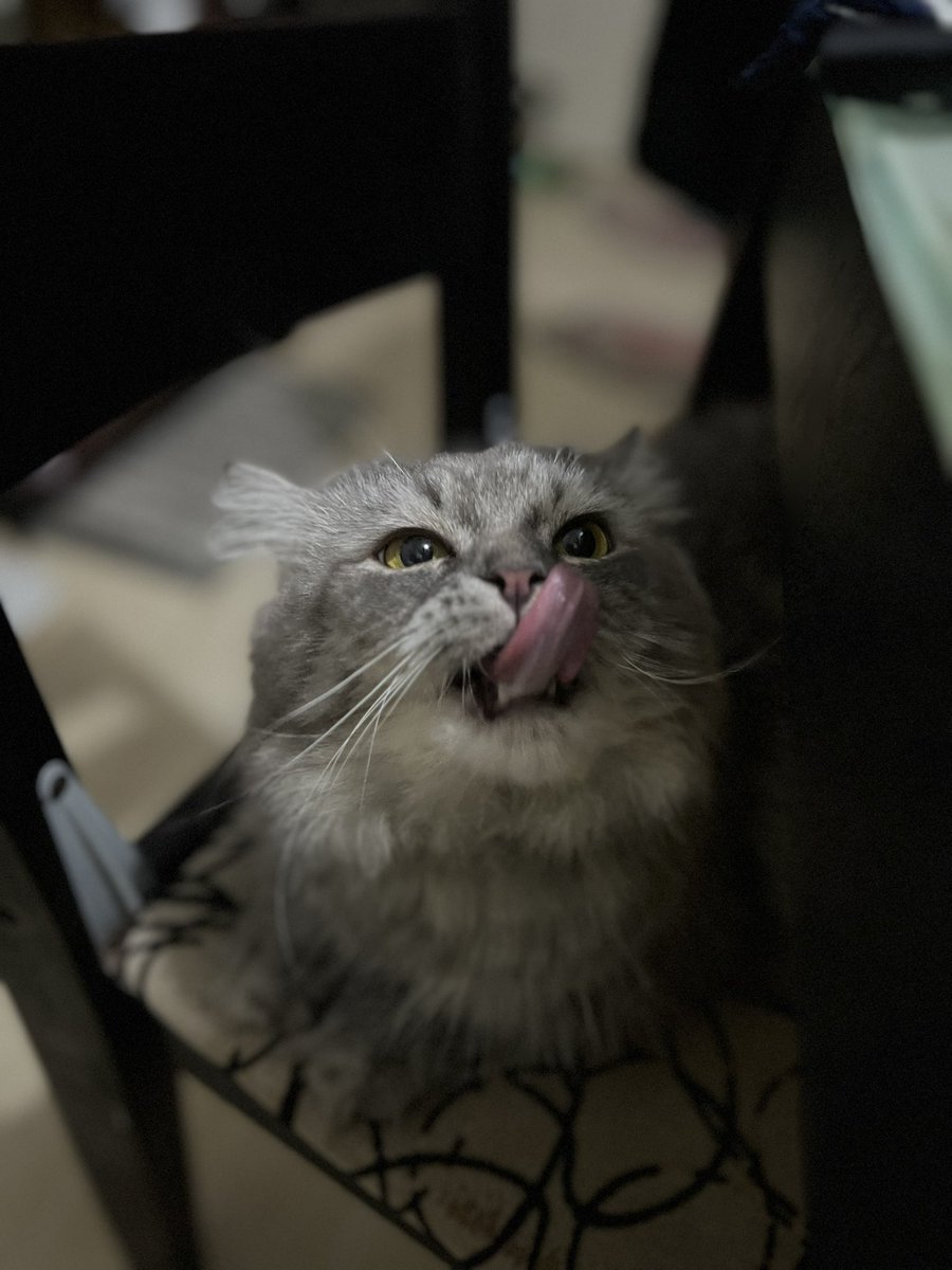 Been a while since I posted a pussy pic