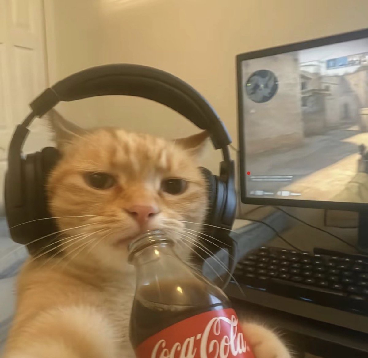 Hi
Use code 'XDark'
Please &amp; thenkie 
Has good day
#EpicPartner