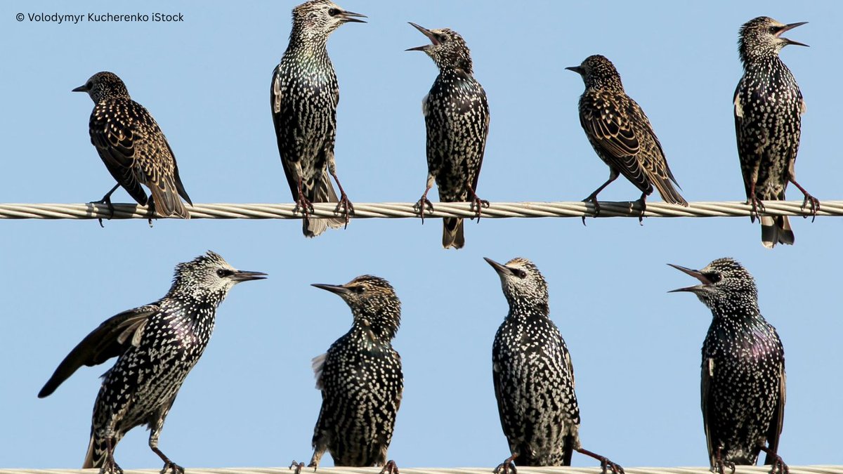 IUCN Eastern Europe and Central Asia tweet media