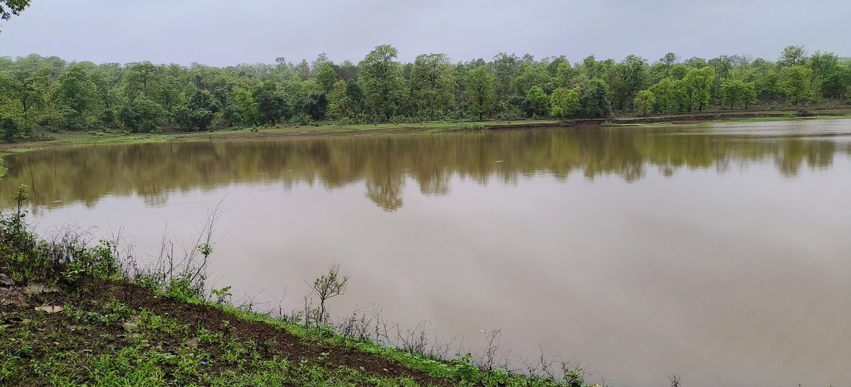 "सन्नाटा बोलता है, पानी में कुछ कहानियाँ हैं,
हर लहर में छुपी, कुदरत की कुछ निशानियाँ हैं।"