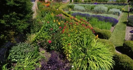 Just 2 tickets left for our Exclusive Garden Tour at Woolton House in Berkshire this Friday! 🌿

Don’t miss this rare chance to explore a stunning private garden: perennial.org.uk/support-us/eve…

All proceeds support people in horticulture 💚 

#PerennialExclusiveGardenTours