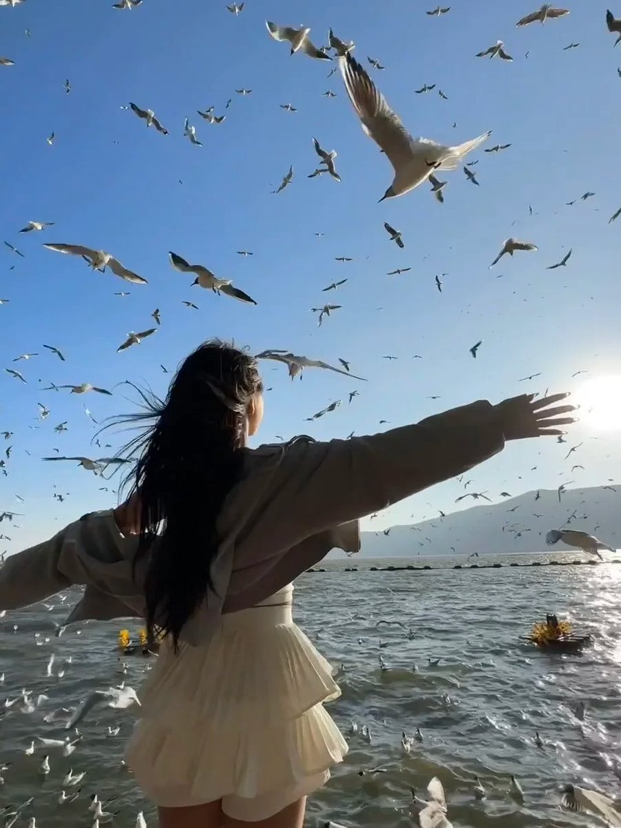 Hayley74365's tweet photo. Standing on the dock, surrounded by the beauty of nature and the freedom of birds. 🌅 comments! #DockLife #NatureInspiration #PeacefulMind https://t.co/HzcFhH3Bzl