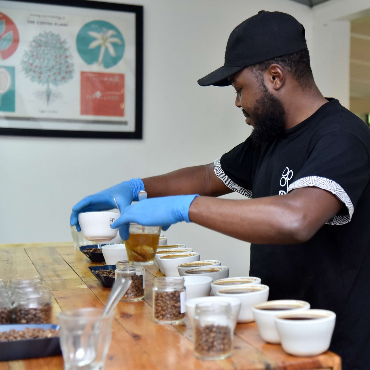 Makhtar Diop (@diop_ifc) on Twitter photo From farm to table, #FoodSafety must be embedded in every step of the value chain. With support from <a href="/CanadaDev/">Development Canada</a>, <a href="/IFC_org/">IFC</a> has helped businesses unlock $600M+ in investment and $700M+ in new sales through better food safety systems. wrld.bg/AJVo50Weius <a href="/IFCAfrica/">IFC Africa</a> From farm to table, #FoodSafety must be embedded in every step of the value chain. With support from <a href="/CanadaDev/">Development Canada</a>, <a href="/IFC_org/">IFC</a> has helped businesses unlock $600M+ in investment and $700M+ in new sales through better food safety systems. wrld.bg/AJVo50Weius <a href="/IFCAfrica/">IFC Africa</a>