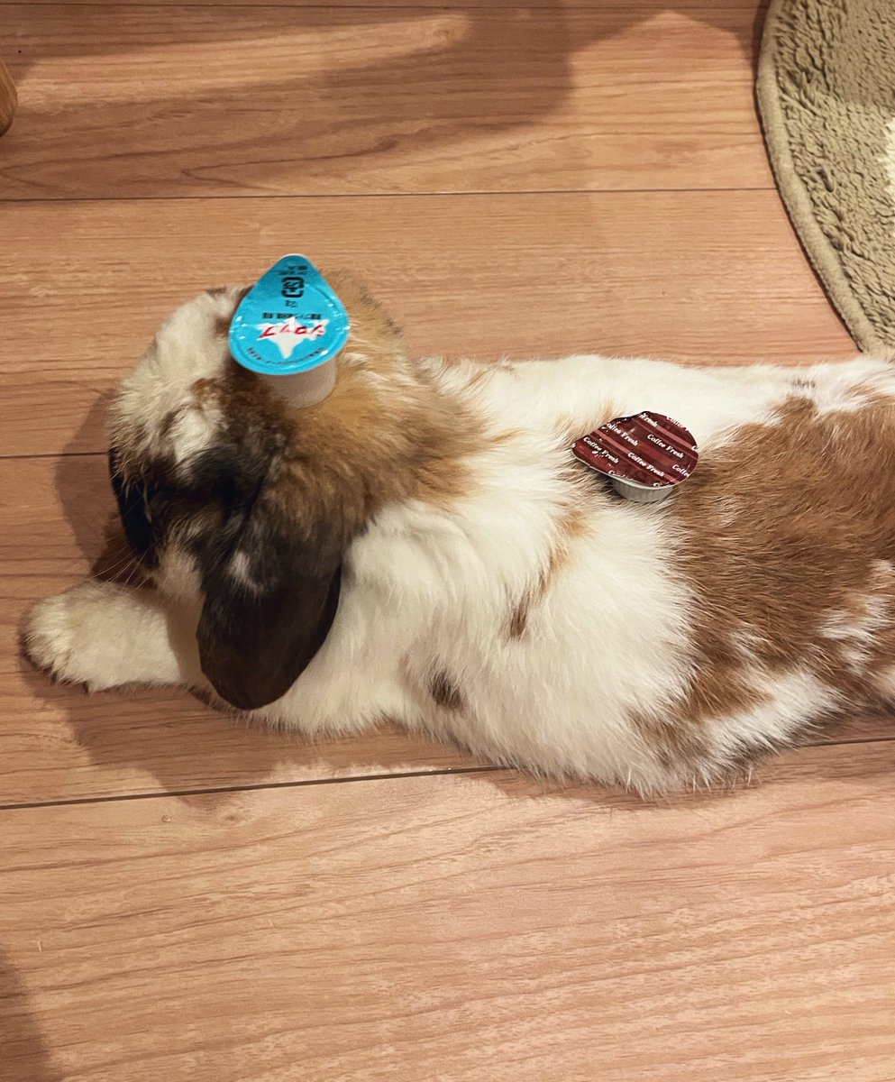 ガムシロとミルクを自分でかけるタイプのコーヒーゼリー、たまに食べたくなる