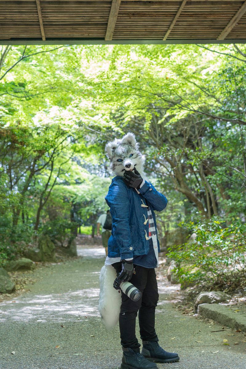 振り返ってるとは言えないけど表情といい背景含めて好きな写真。

📸:<a href="/ta2468theo/">たちつてお</a>