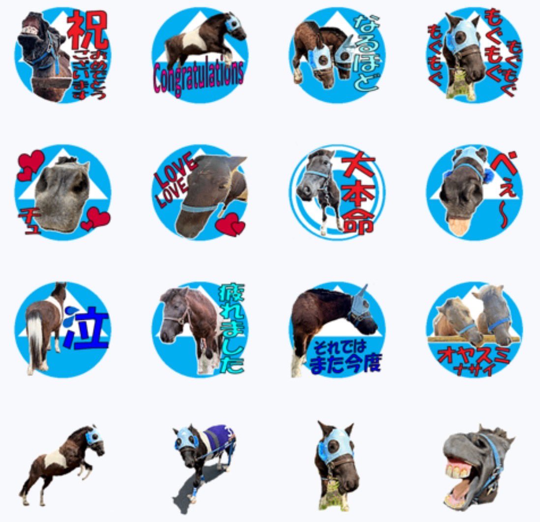 日本一馬好きな呉服屋の我妻とエピ🐴コジュウチョウサン tweet media