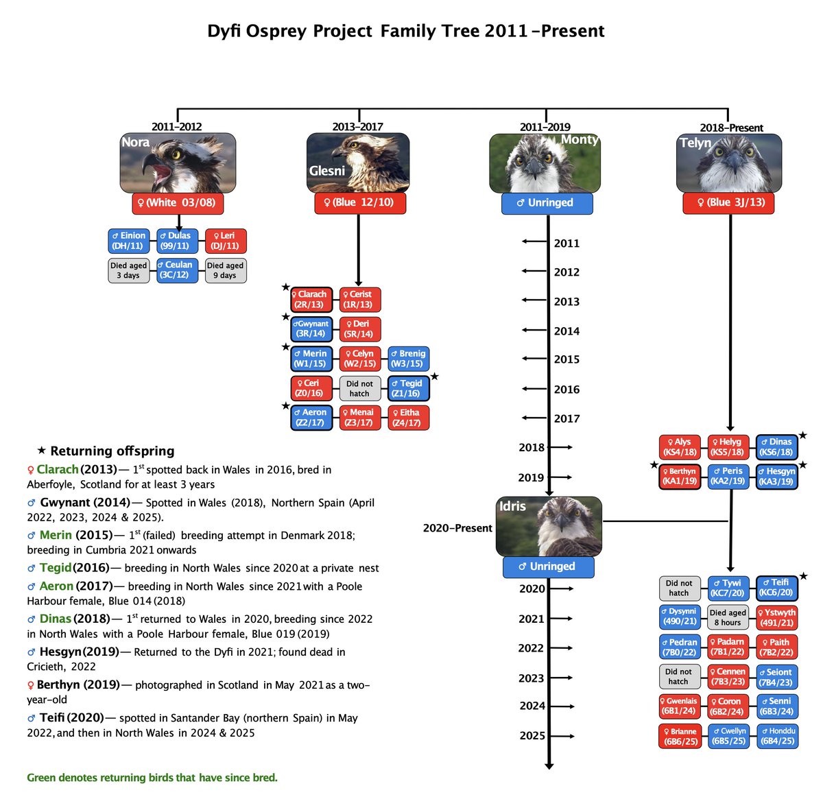 DyfiOspreys's tweet image. Bore da
Here's an updated Dyfi Family Tree for all you guys that like to save these..