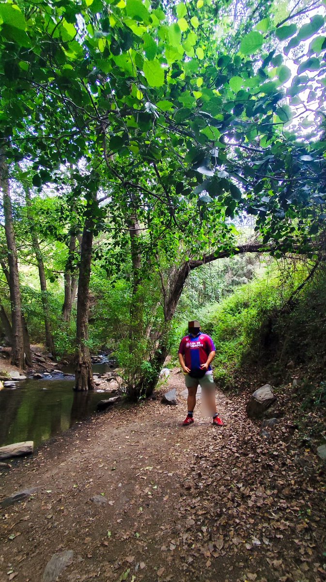 NoFaceLUD tweet media