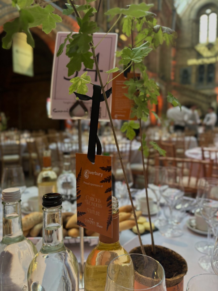We were proud to be a #Corenet Summer Party sponsor at the Natural History Museum. We left something behind that could grow on each table. Did you take one home? Let us know where it ends up — we’d love to see your planting pics! 📸
#CoreNet #SummerParty #NaturalHistoryMuseum