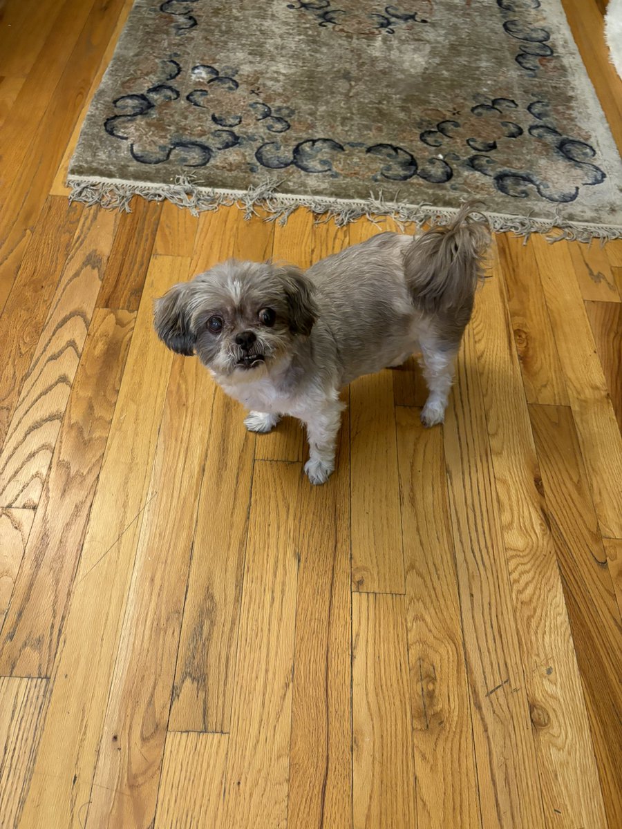 Erika White tweet media