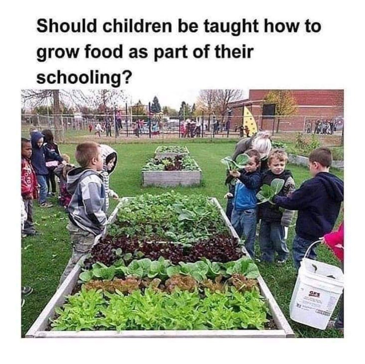 What do y’all think about this?