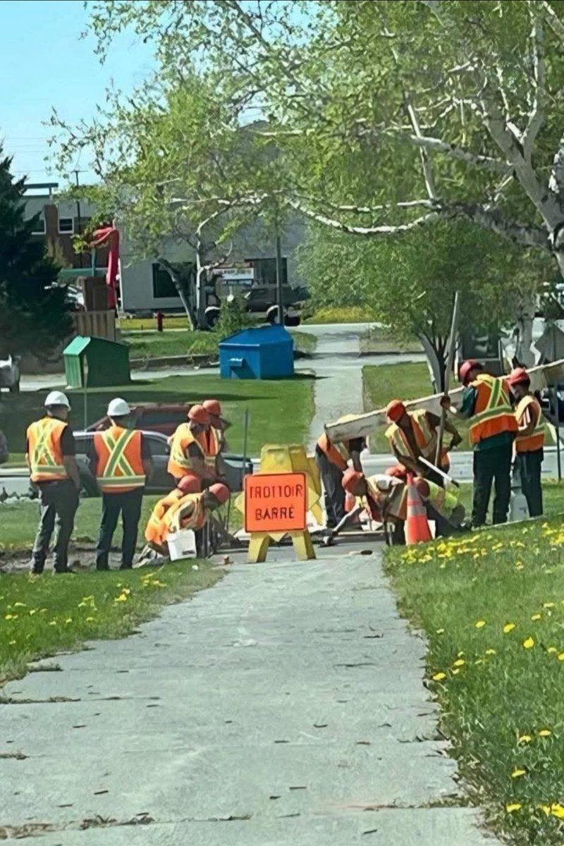12 gars, un cône, une pelle, et un trottoir barré depuis des jours.💸Facture de 84 000$ pour une réparation.
– 1 gars qui travaille
– 2 qui regardent
– 3 qui gèrent les pauses
– 6 qui attendent leur tour pour gérer l’attente. Québec capitale mondiale de l’efficacité collective.