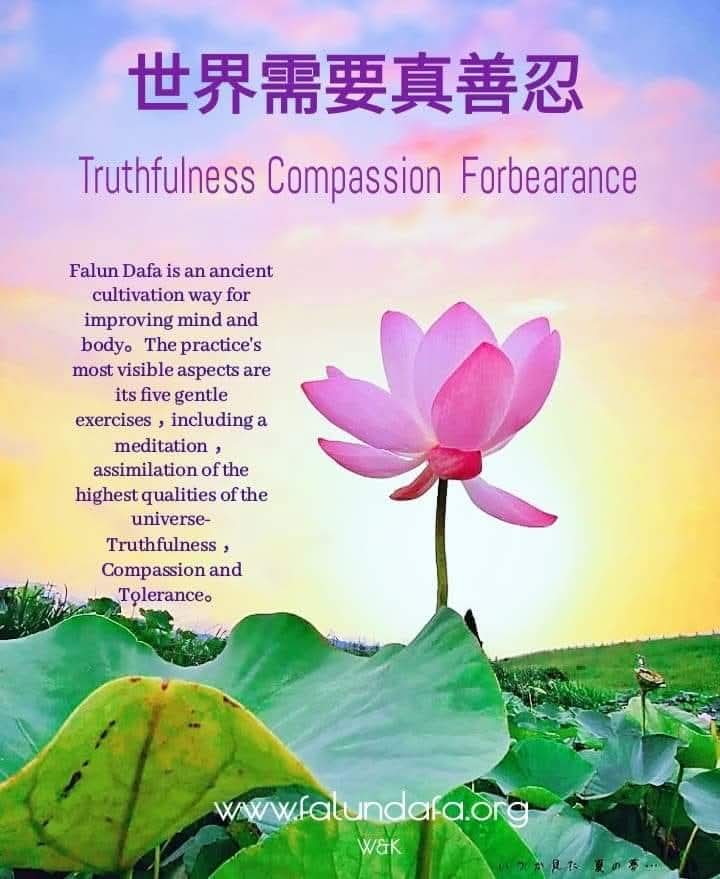 世界需要真善忍
法輪大法是眾生得救的希望
falundafa.org
shenyun.org