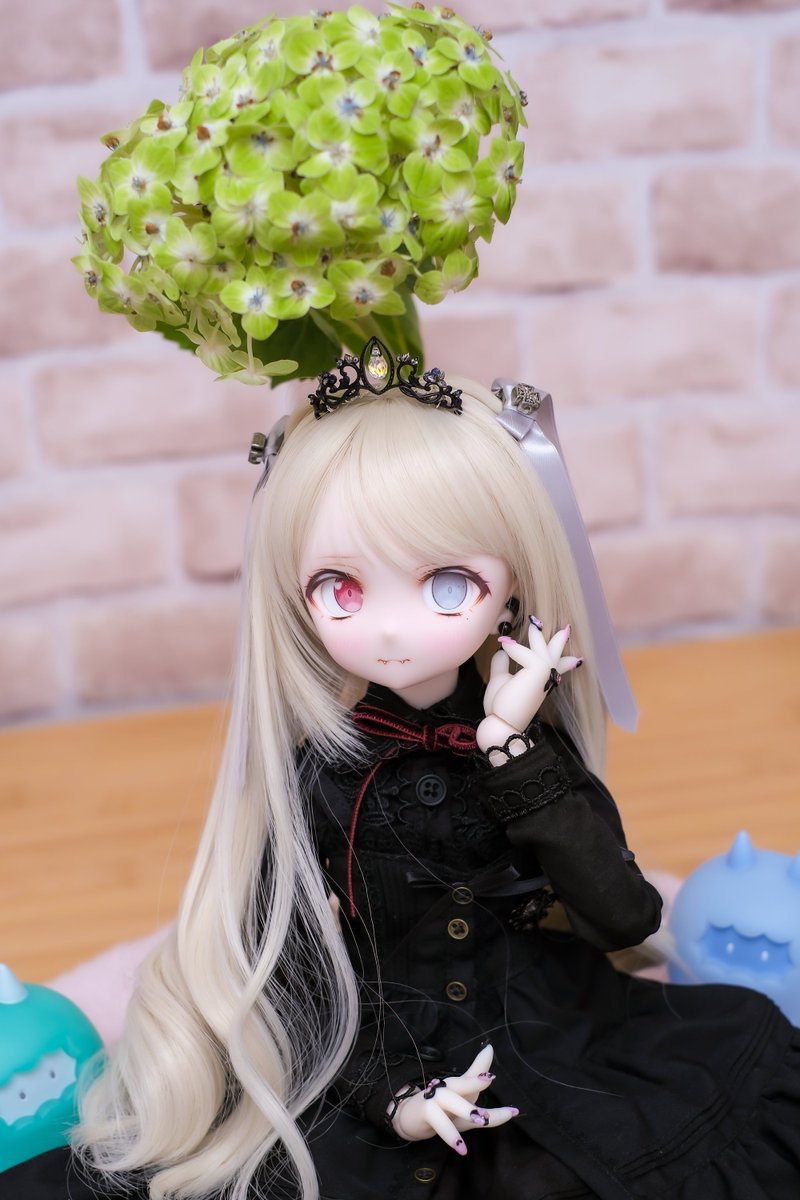 紫陽花切り花買って12日経つけどまだ元気だね〜 (*'▽'*)

こまり｢元気なのは良い事だ♪ ( ੭˙ᗜ˙)੭｣

しかしその位置だとこまり様の頭から生えてる感じに見えますね (´▽`) '` '` '`

こまり｢ (   ▎□  ▎)…｣
#るぃっ子