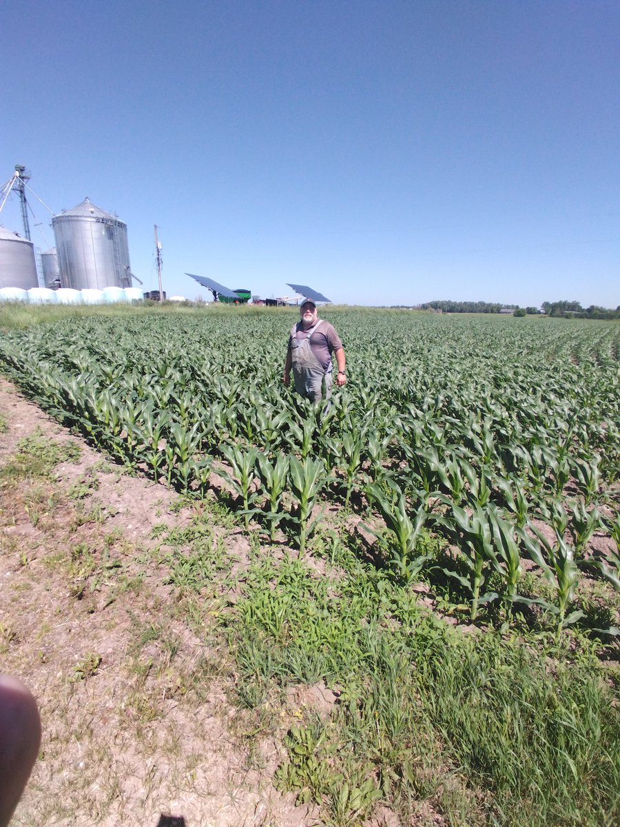 Brother says good looking corn for his birthday