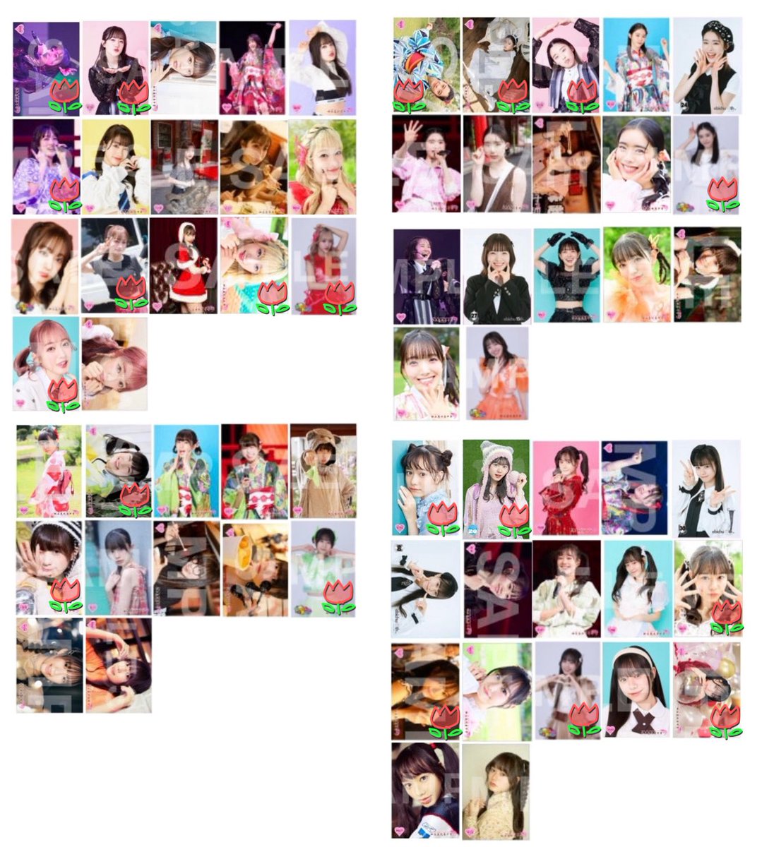 ebi_rina9's tweet photo. <求> サイン入り生写真
添付画像>>生誕含む未所持（メンバー問わず）
コメ同士の交換でなくても検討可🙆‍♀️

また、🌷を特に探しています！
（こちらは2:1での交換も検討可です） https://t.co/wDV7gvzgPZ