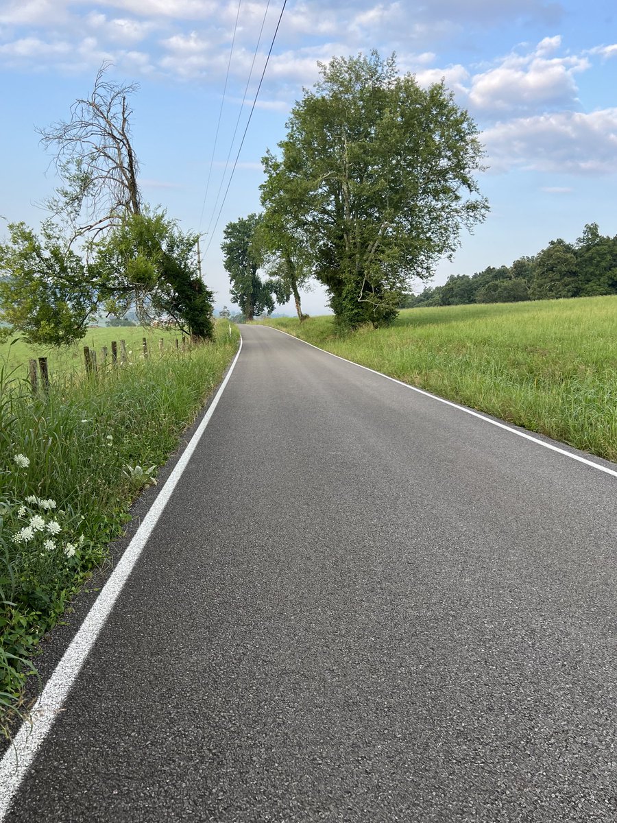 Kim Bridges tweet media